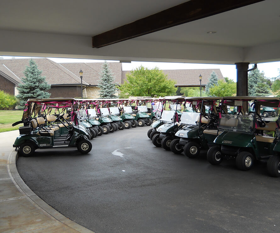 golf carts lined up and under cover